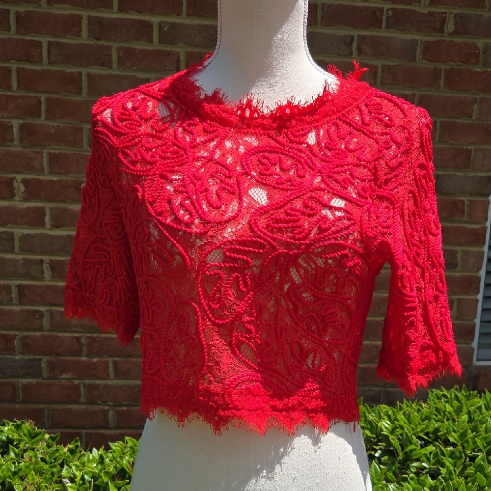 The Sang Vibrant Red Lace Crop Blouse Size Large